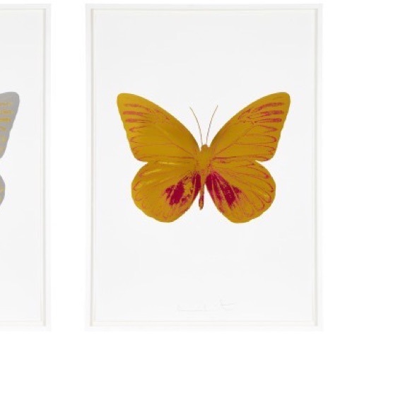 flyfinds973